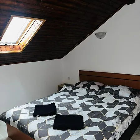Maison d'hôtes Casa Dumitru 3*