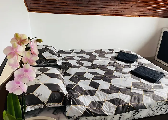 Casa Dumitru Guest house 3*