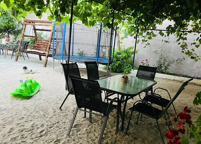 Guest house Casa Dumitru