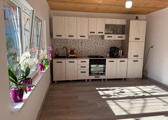 Casa Dumitru Guest house 2 Mai